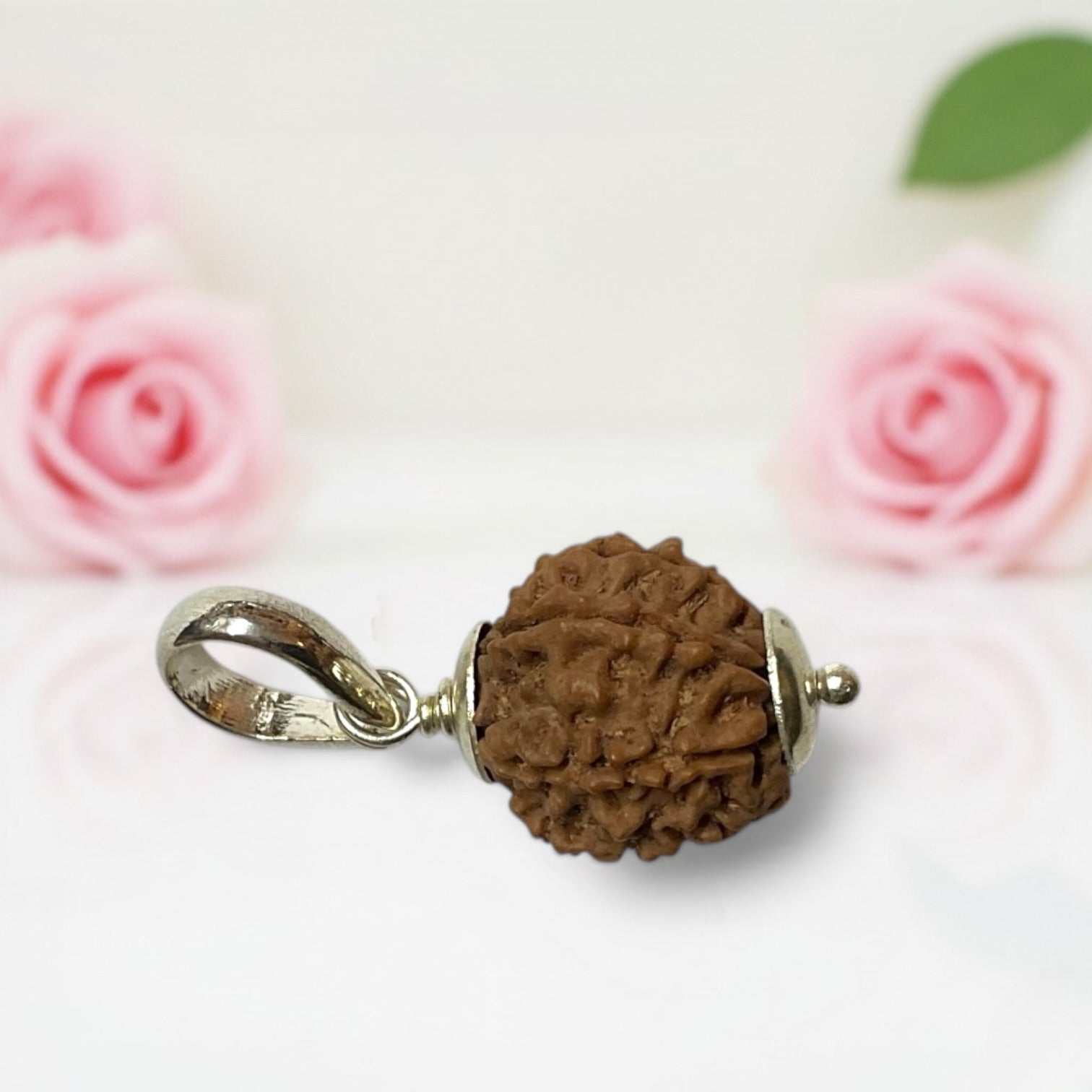 7 Mukhi Rudraksha