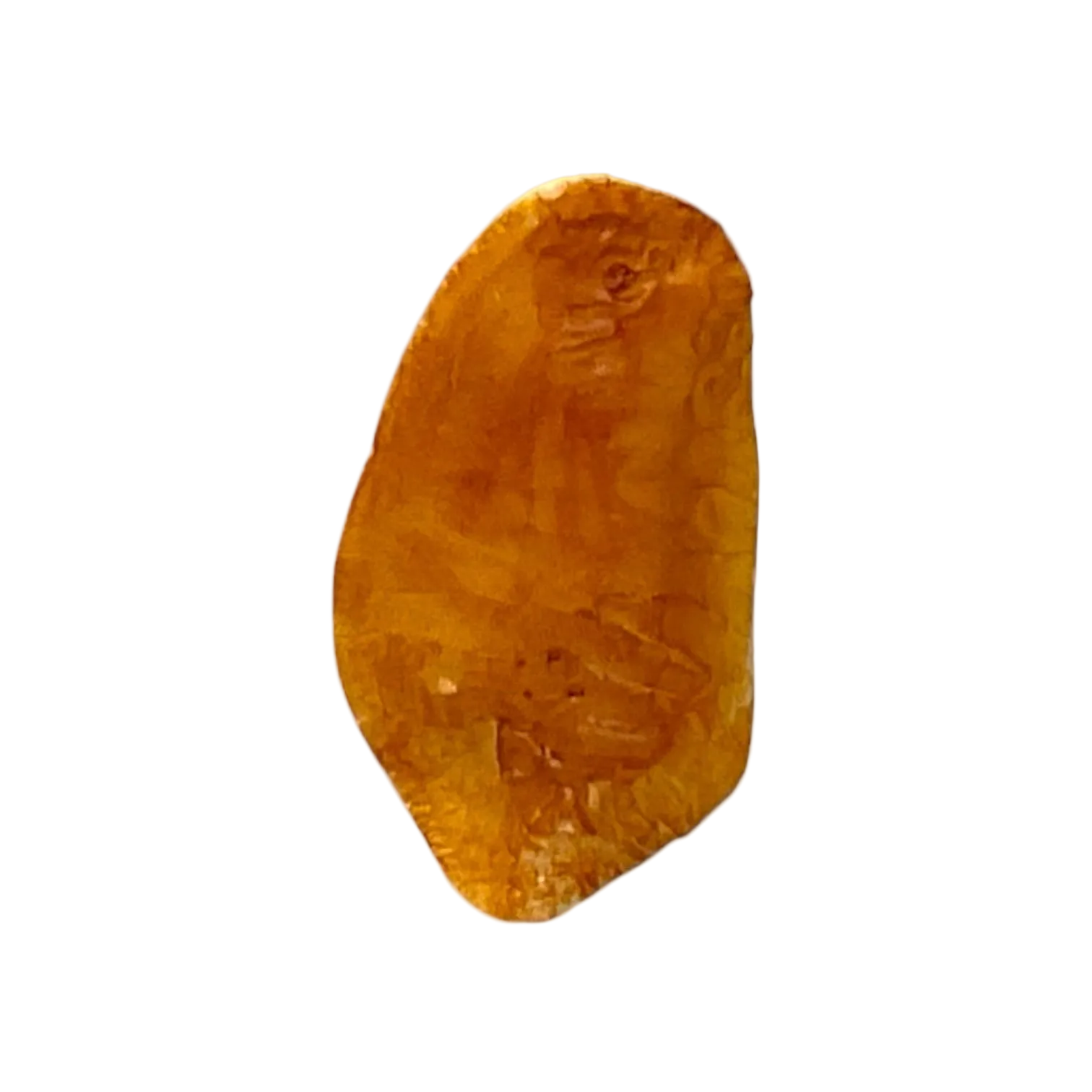 Shukra Mani